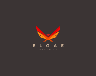 ELGAE网络技术安全公司