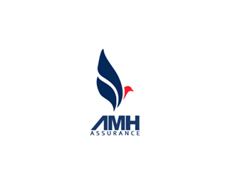 法国AMH保险公司