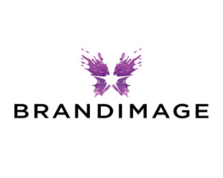 品牌咨询设计公司Brandimage标志