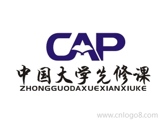 CAP 中国大学先修课设计