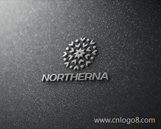 Northerna标志设计